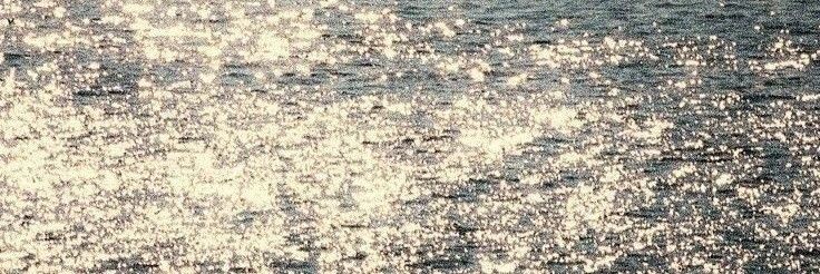 x banner