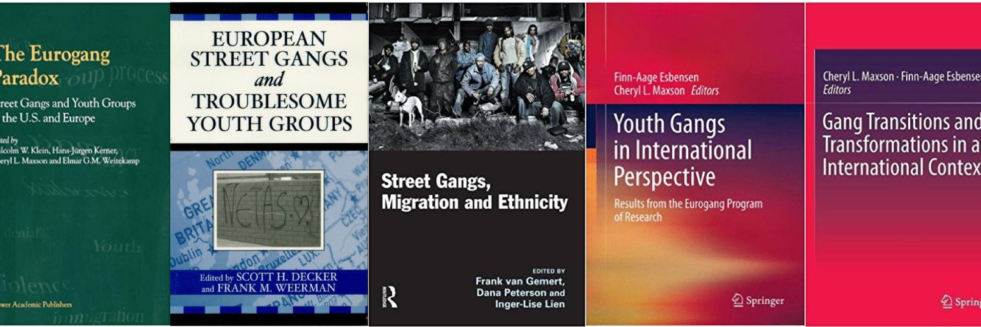 Eurogang Project banner