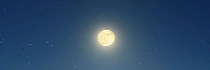 Shoheiday's profile banner image