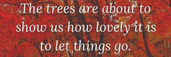 Perseid_showers Profile Banner