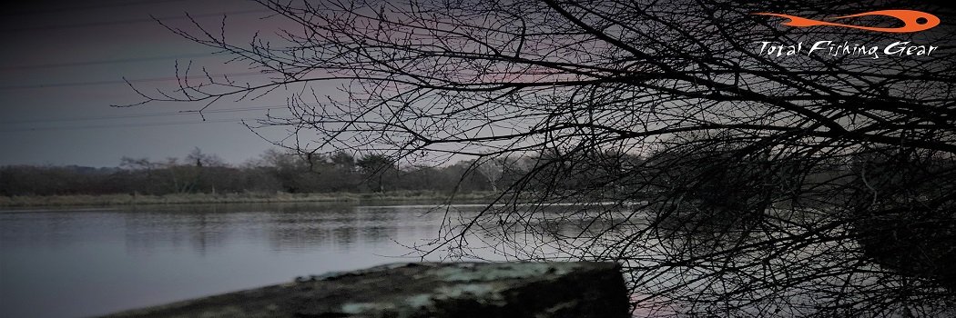 TF_Gear's profile banner image