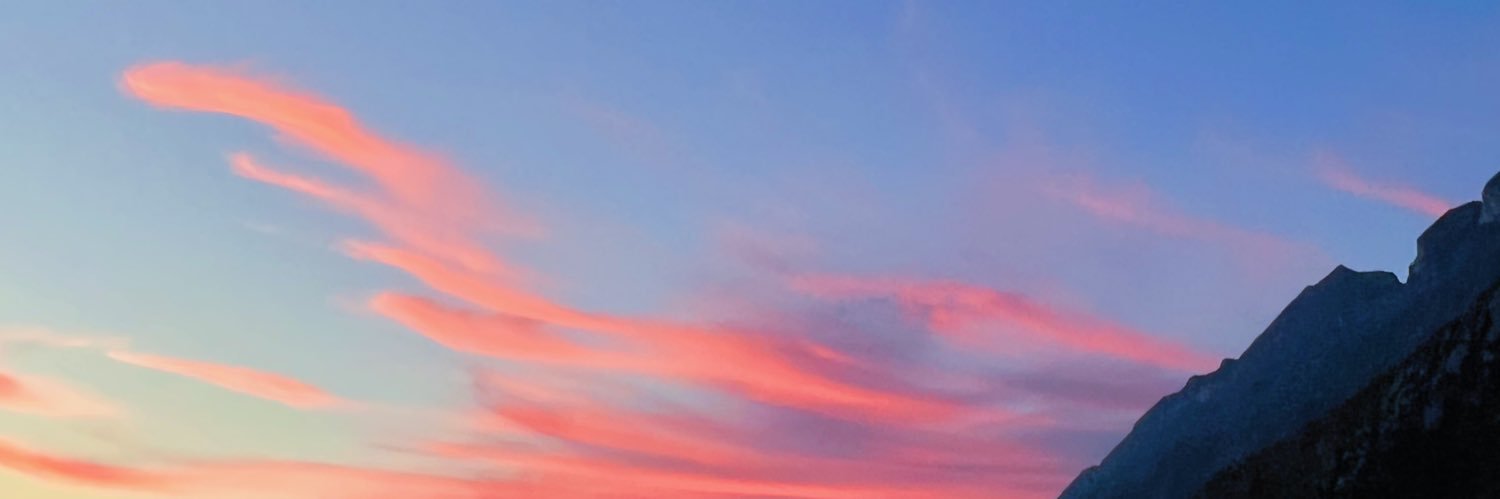 cogushi's profile banner image