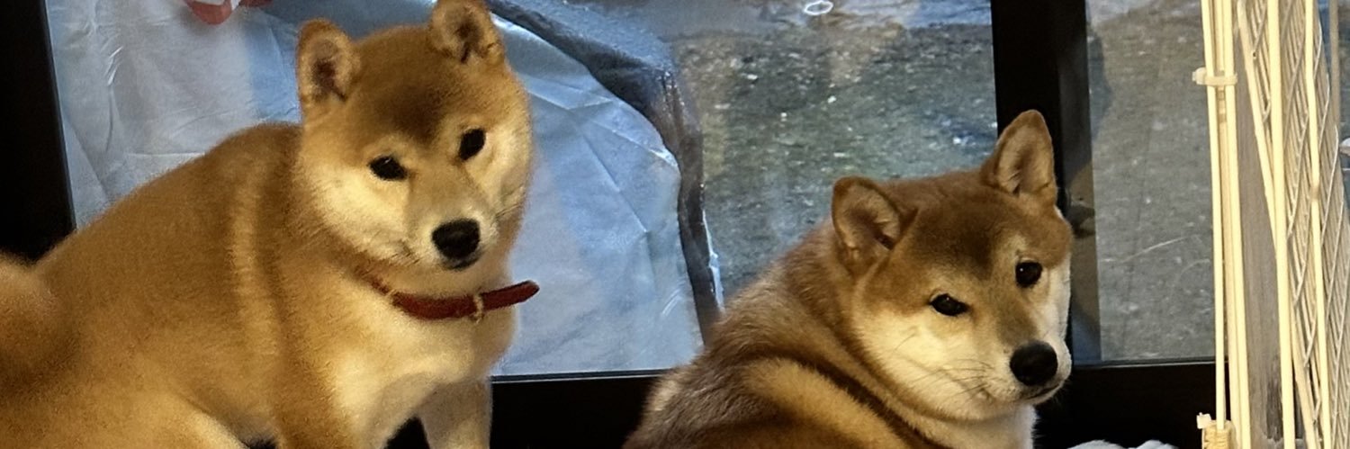 you208's profile banner image