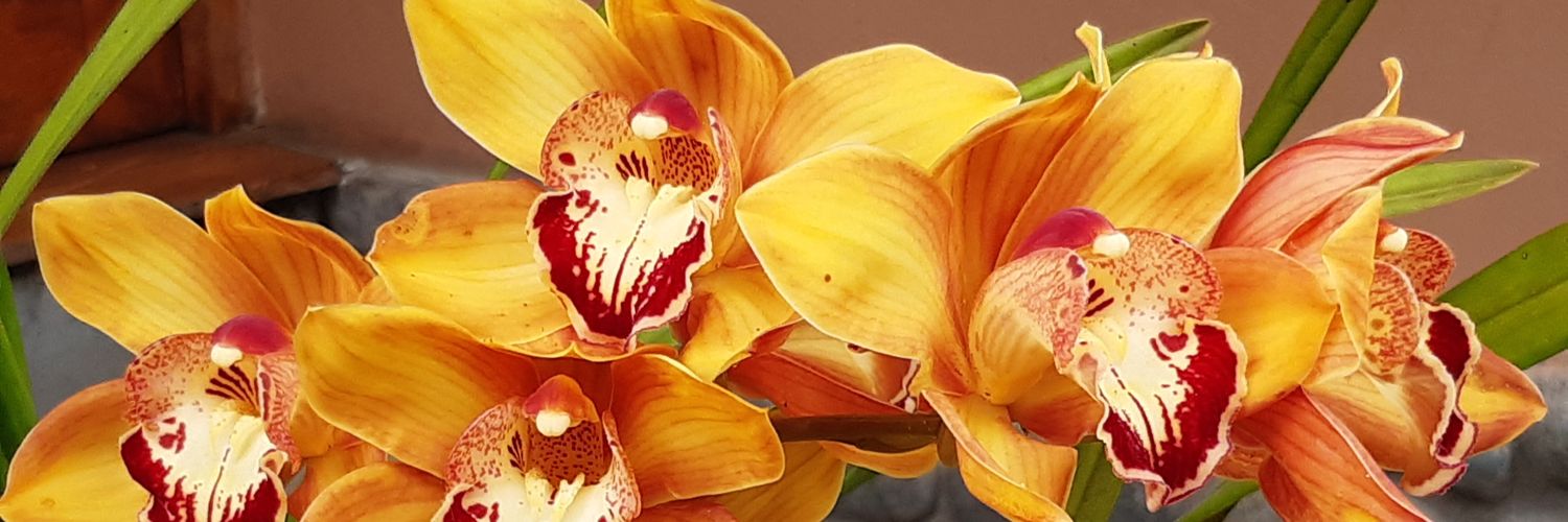 070853's profile banner image