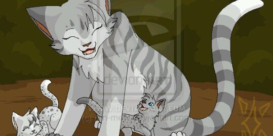 SilverPelt_'s profile banner image