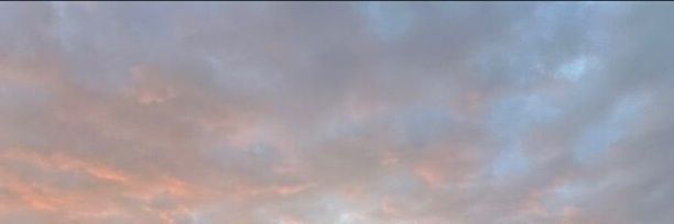 ceℓe 🤍.⁠｡⁠* banner