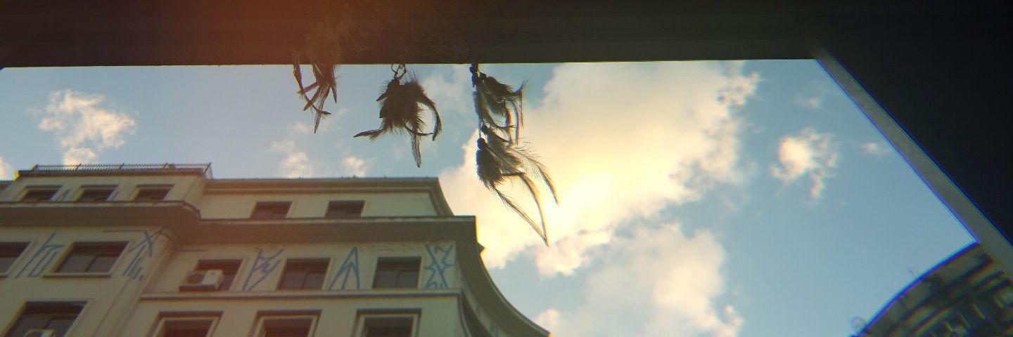 raroldo's profile banner image