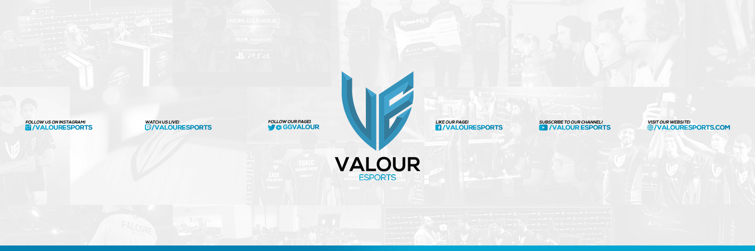 Valour eSports banner