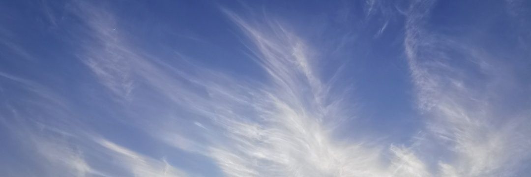 FFfae4539's profile banner image