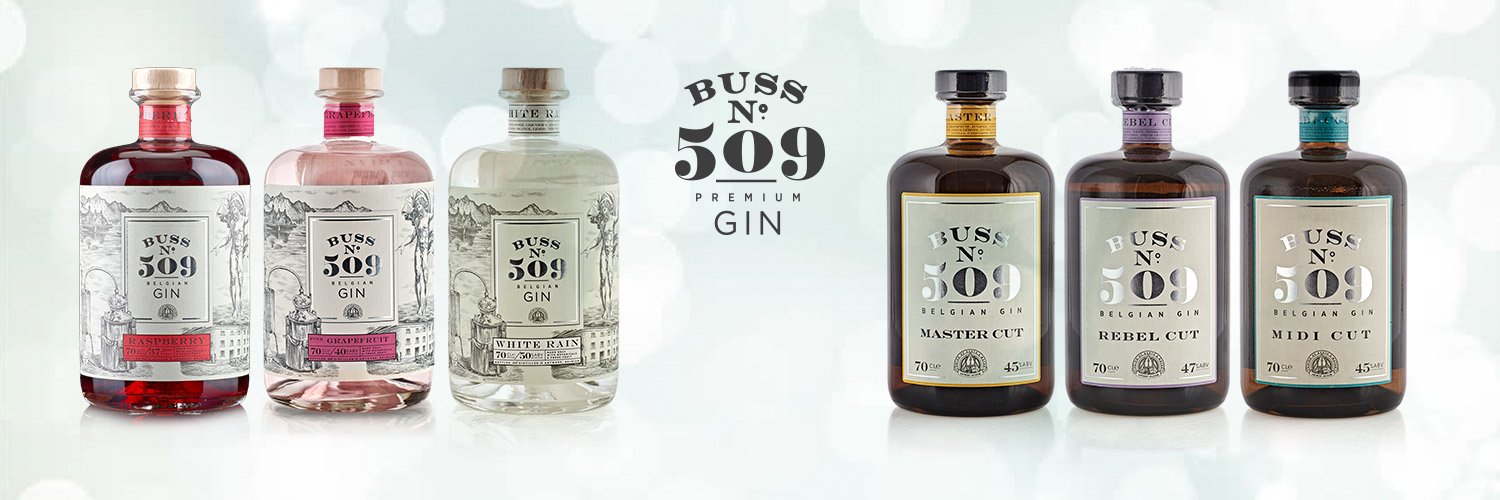 BUSS N509 GIN banner
