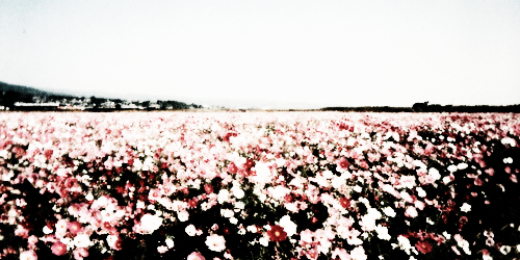 ninadobrevgdr's profile banner image