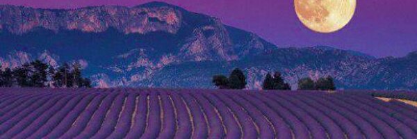 jeffs2009 Profile Banner