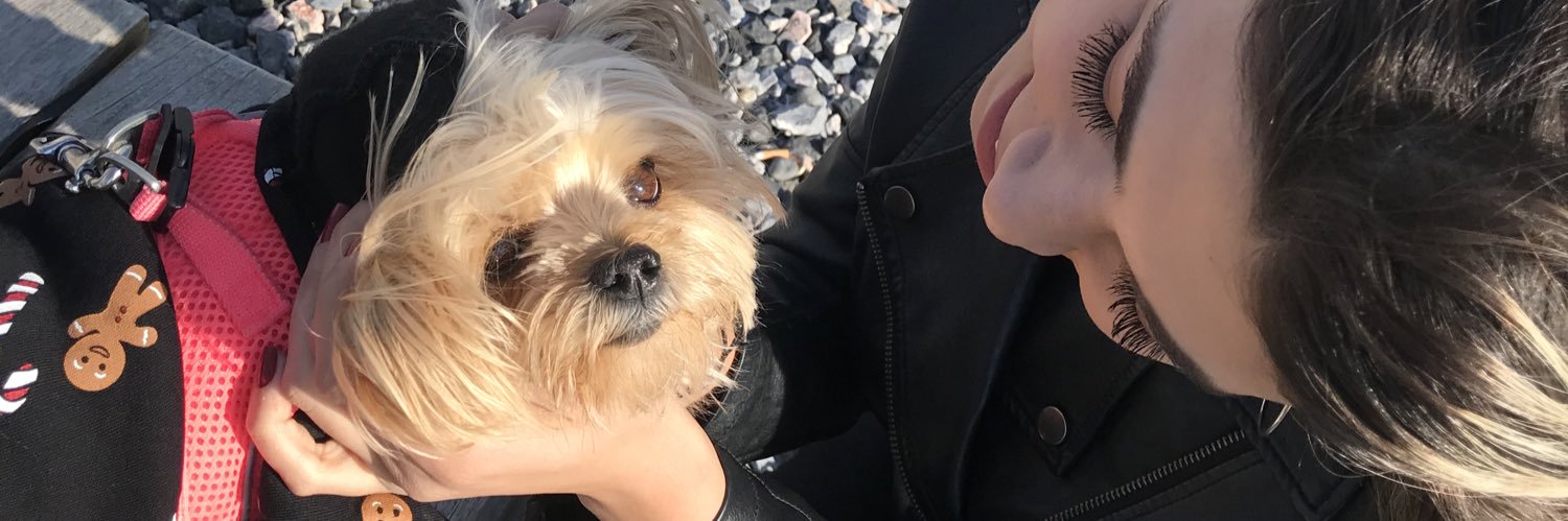 oykuballi's profile banner image