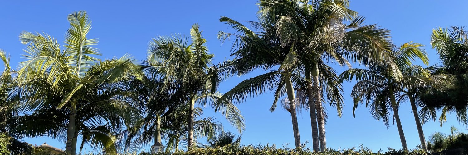 AvsAngelsChick banner