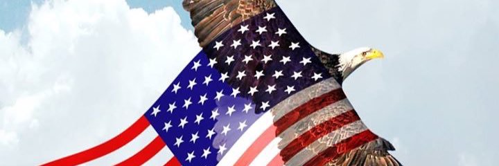 rogoasu12's profile banner image
