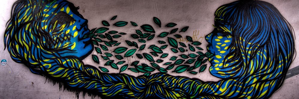 eusouaiolanda's profile banner image
