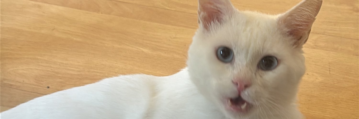 cio inerente🇺🇾 banner