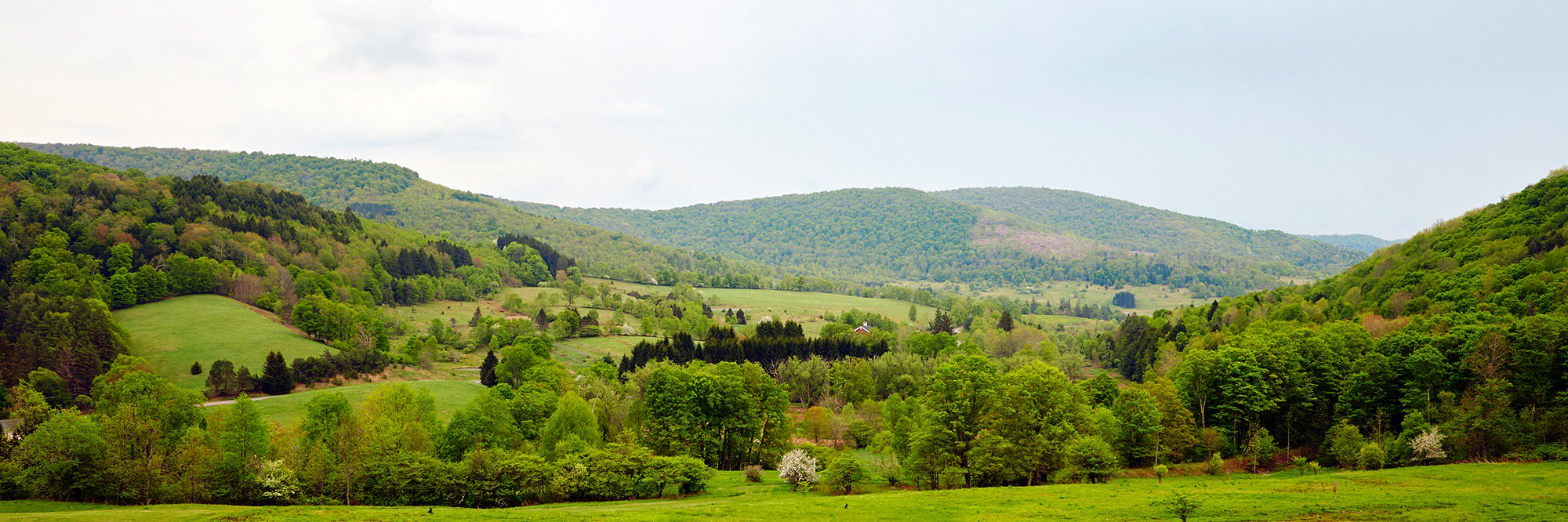 _AndNorth_'s profile banner image