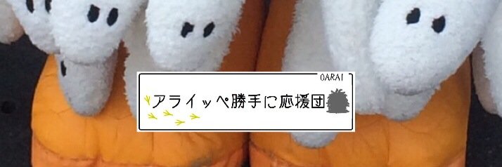 oaraishirasu2's profile banner image