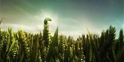 aura_pulse's profile banner image