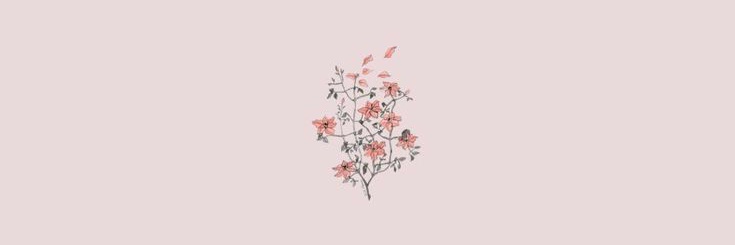 bethbaangboom's profile banner image