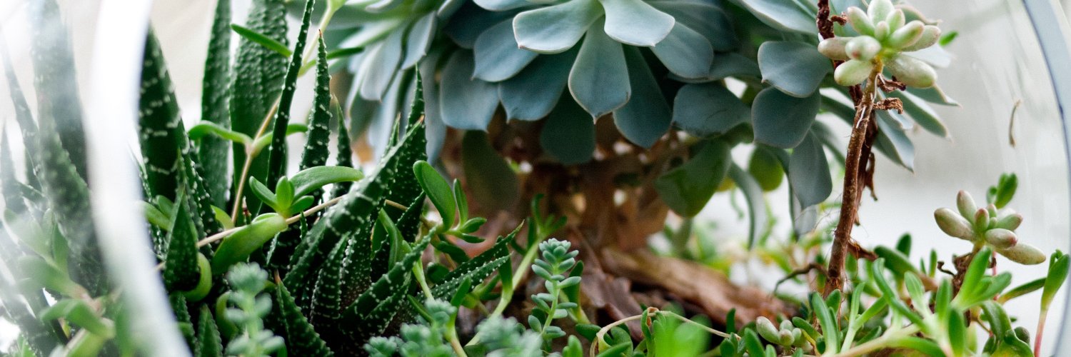 livewell_amy's profile banner image