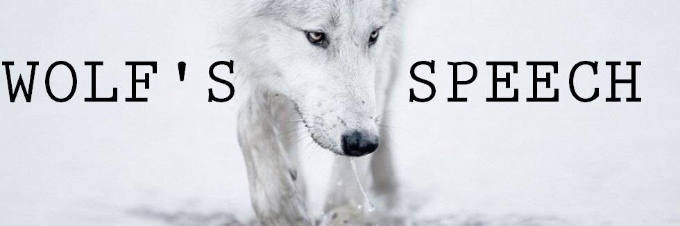 ViktorDWolf's profile banner image
