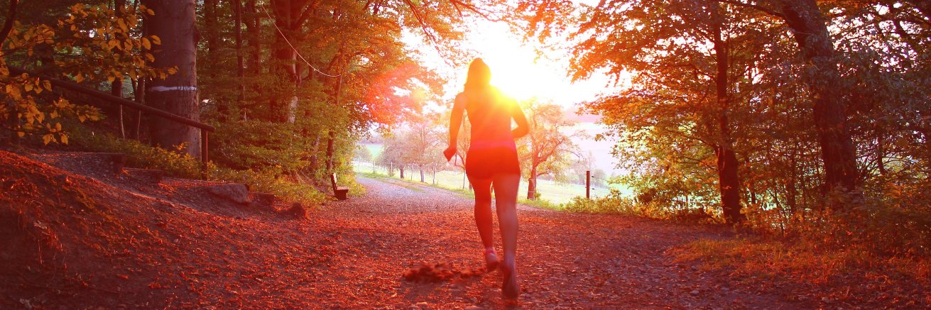 fitCalApp's profile banner image