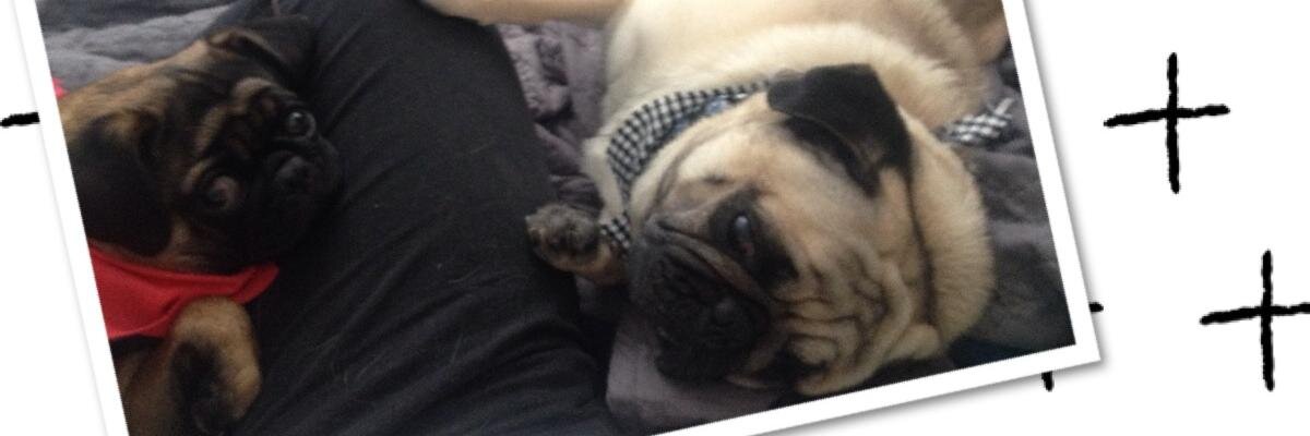 mel_grv's profile banner image
