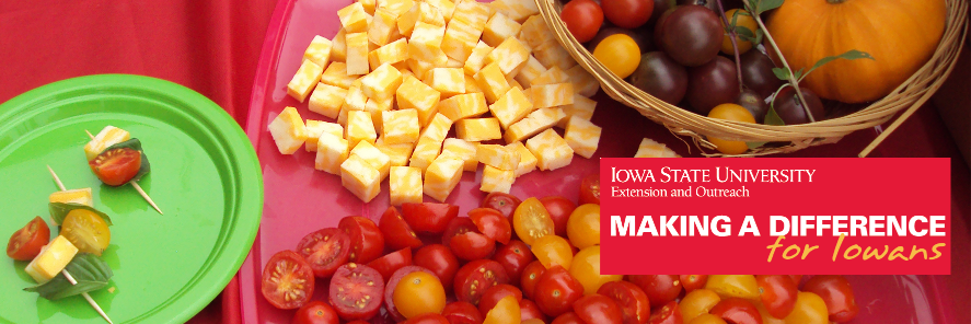 Black Hawk Extension banner