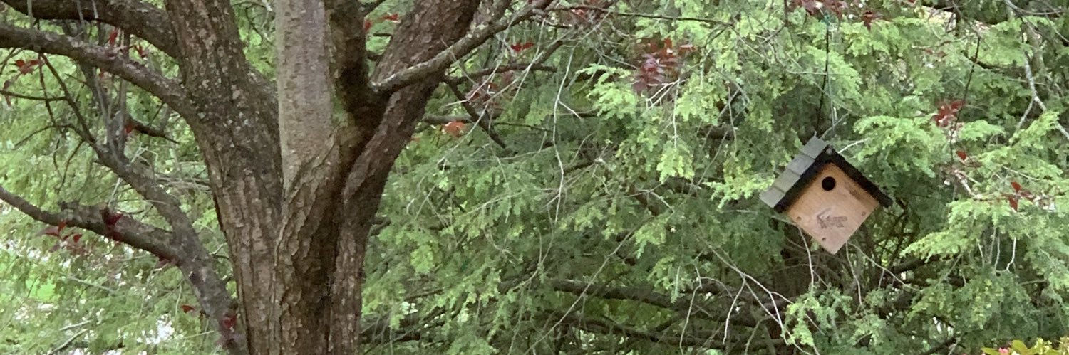 Terri Antill Ferroni banner