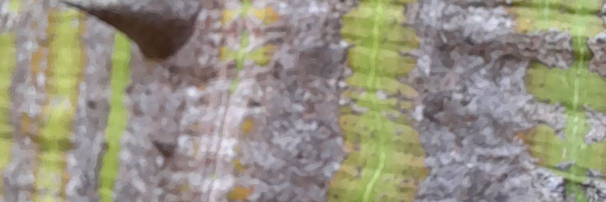 aferjime's profile banner image