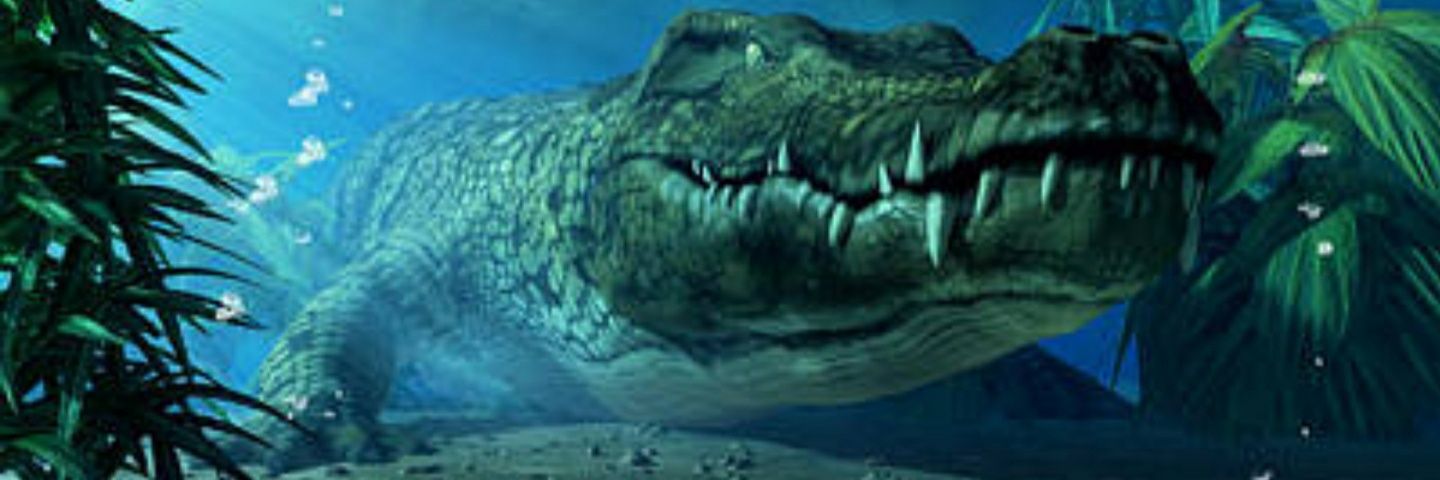 CrocodileLyle banner