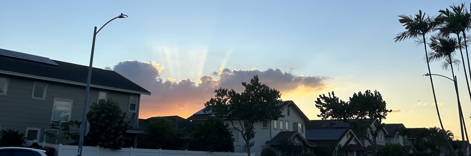 maricela 🐉 banner