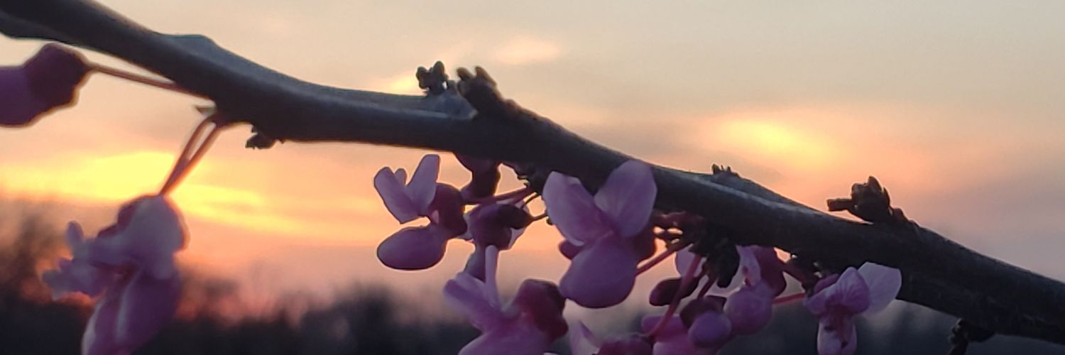 tamahawk07's profile banner image