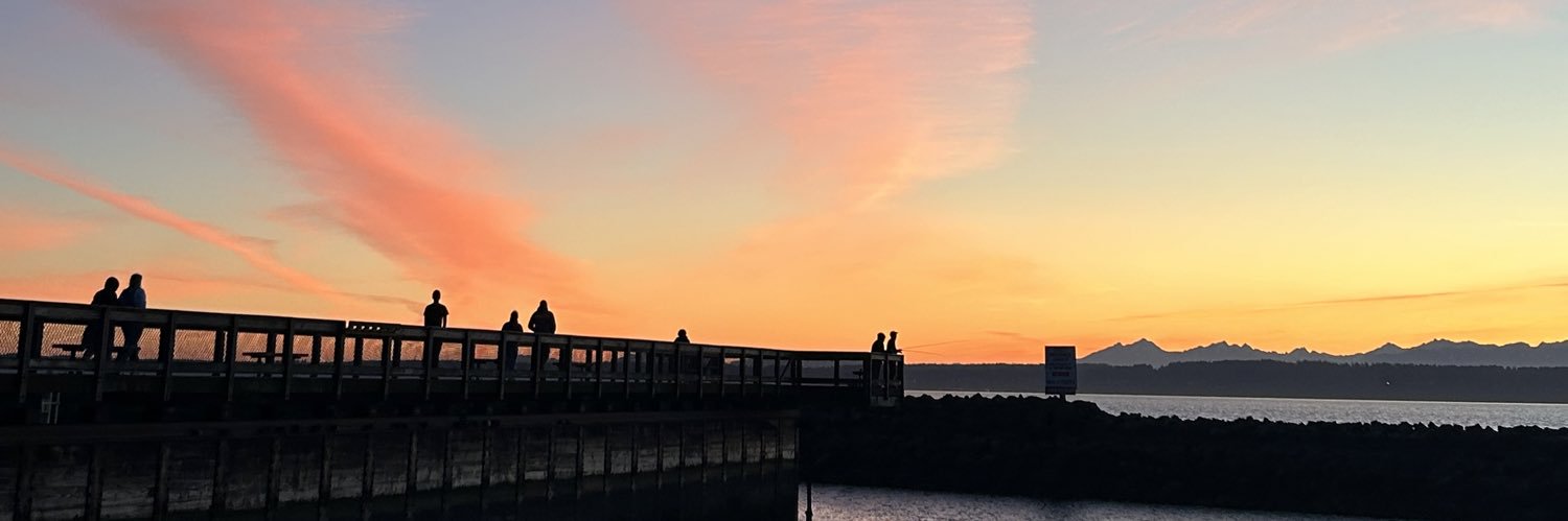 Lauren Wilson banner