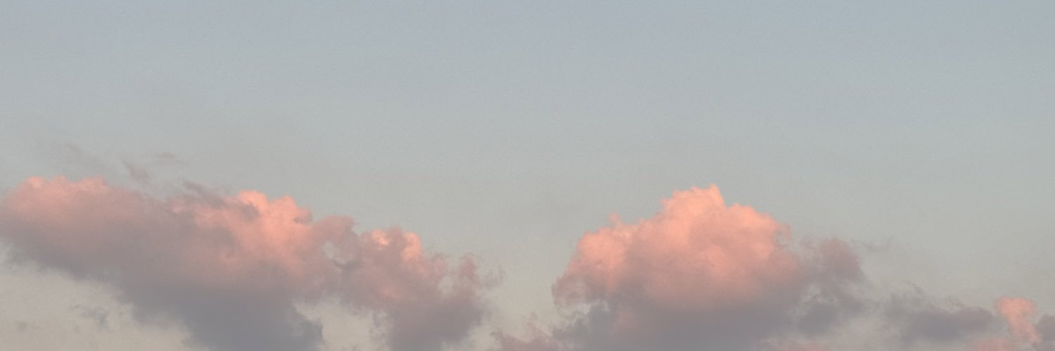danadarwish_'s profile banner image