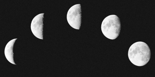 1dzaps's profile banner image