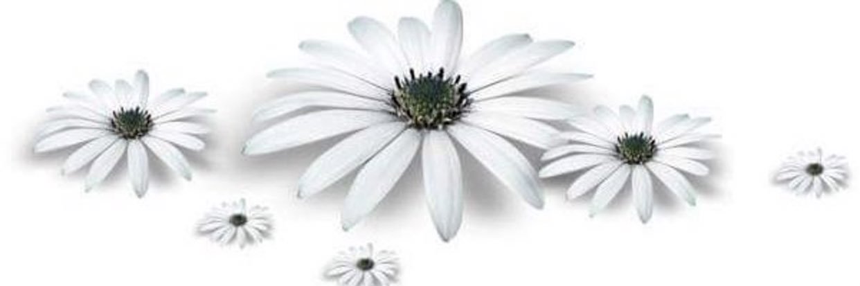Vesselam53's profile banner image