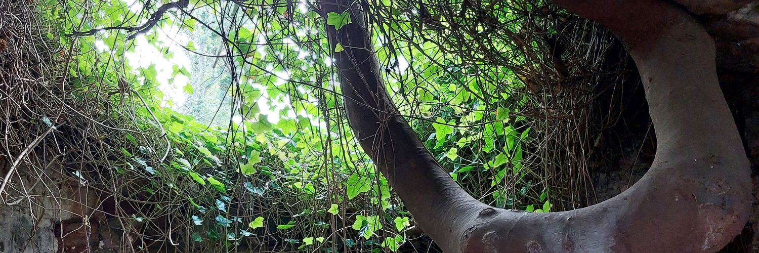 andrewjackGGTTH's profile banner image