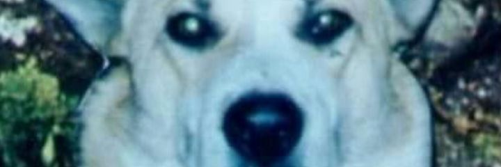 AKIRETAZ's profile banner image