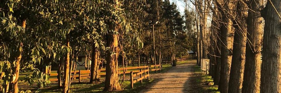 lealcanta's profile banner image