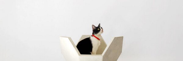 edrodesign Profile Banner