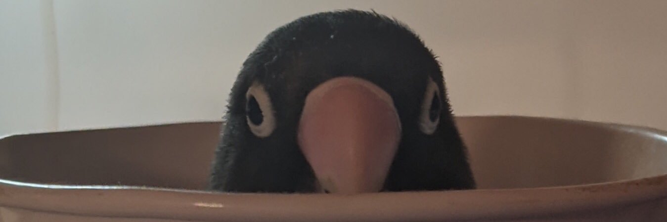 lobe banner