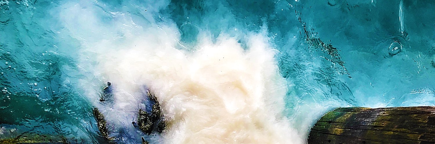 sweetTweetBoo's profile banner image