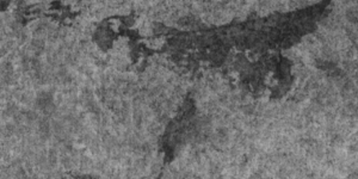 PulsarTorino's profile banner image