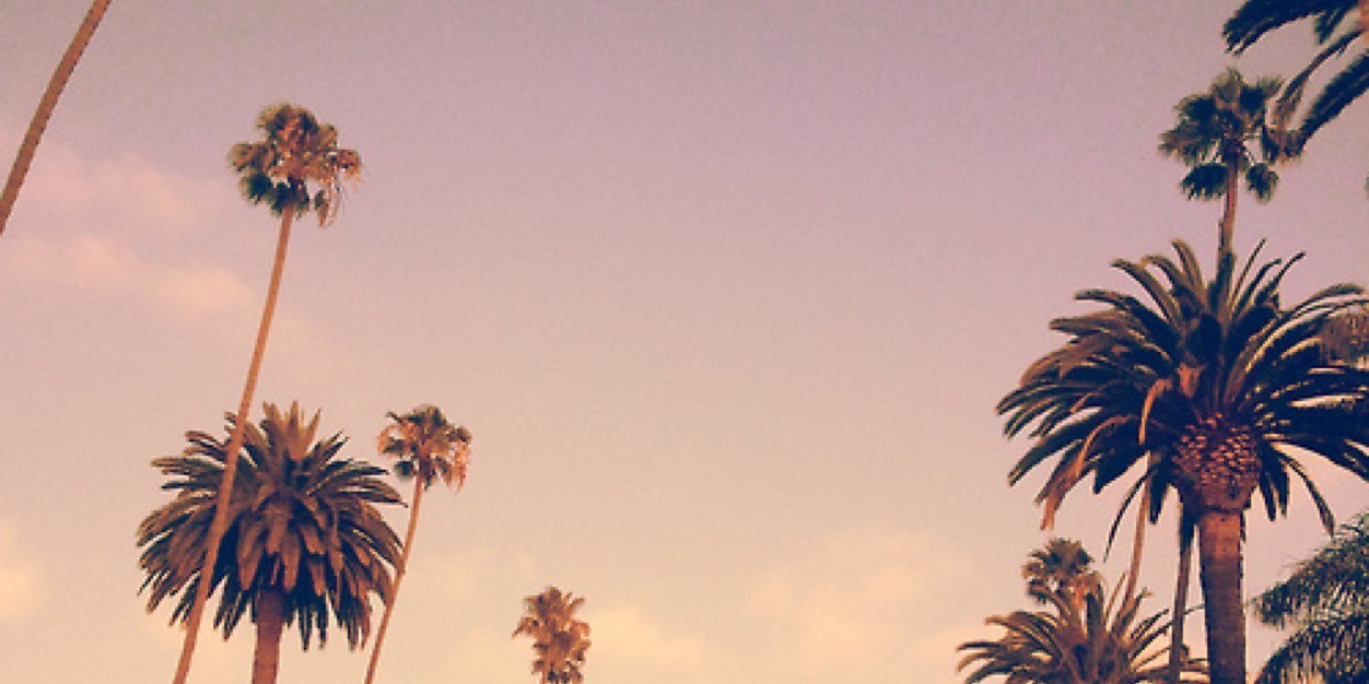 TimelessKelsey's profile banner image