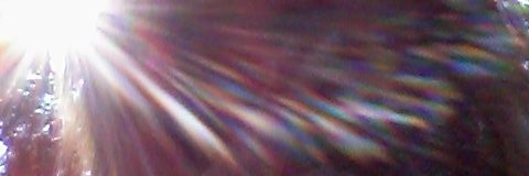 killakellie13's profile banner image