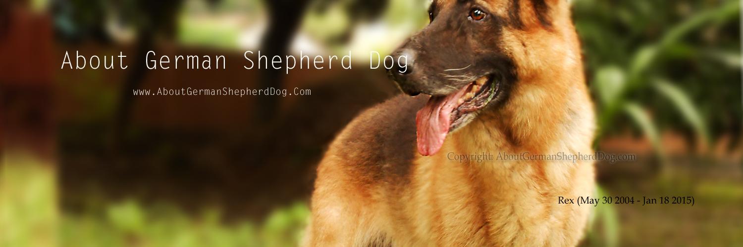 AboutGSD's profile banner image
