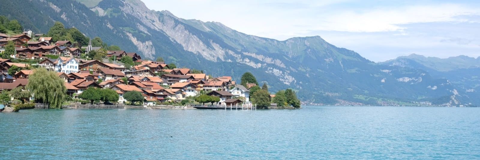 Agustin Gomes banner